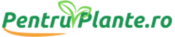 Totul pentru plante